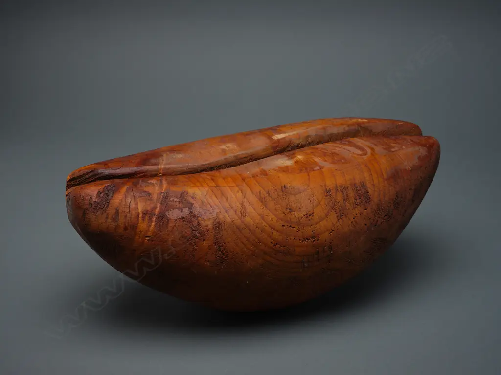 John Ioane (1962-), 'Seed/shell/pod', Image 1++